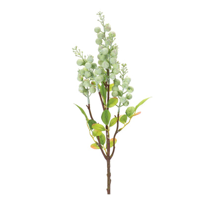 Green Berry Spray