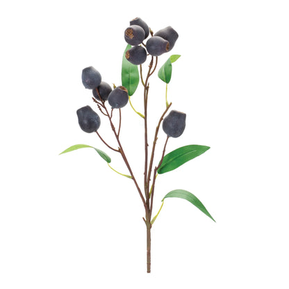 Plum Pod Spray