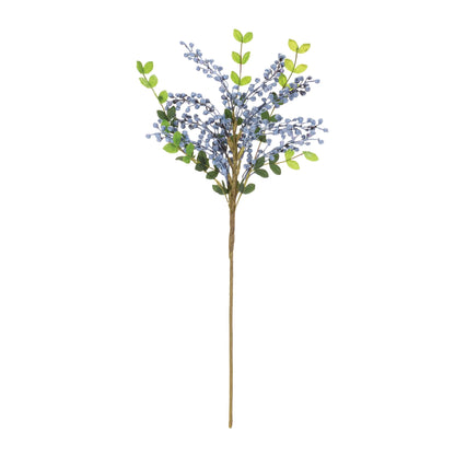 Blue Berry Leaf Spray