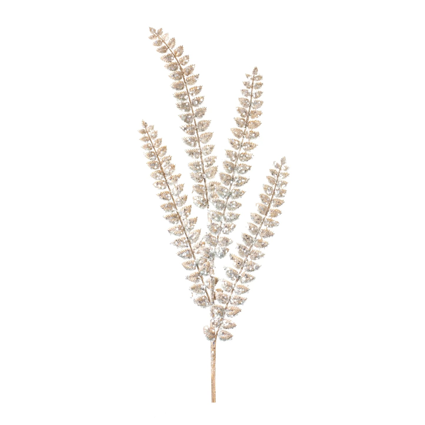 Glittered Fern Spray  - Pack Of: Set of 24 | Materials: Plastic | DÃƒÂ©cor  style: Glam