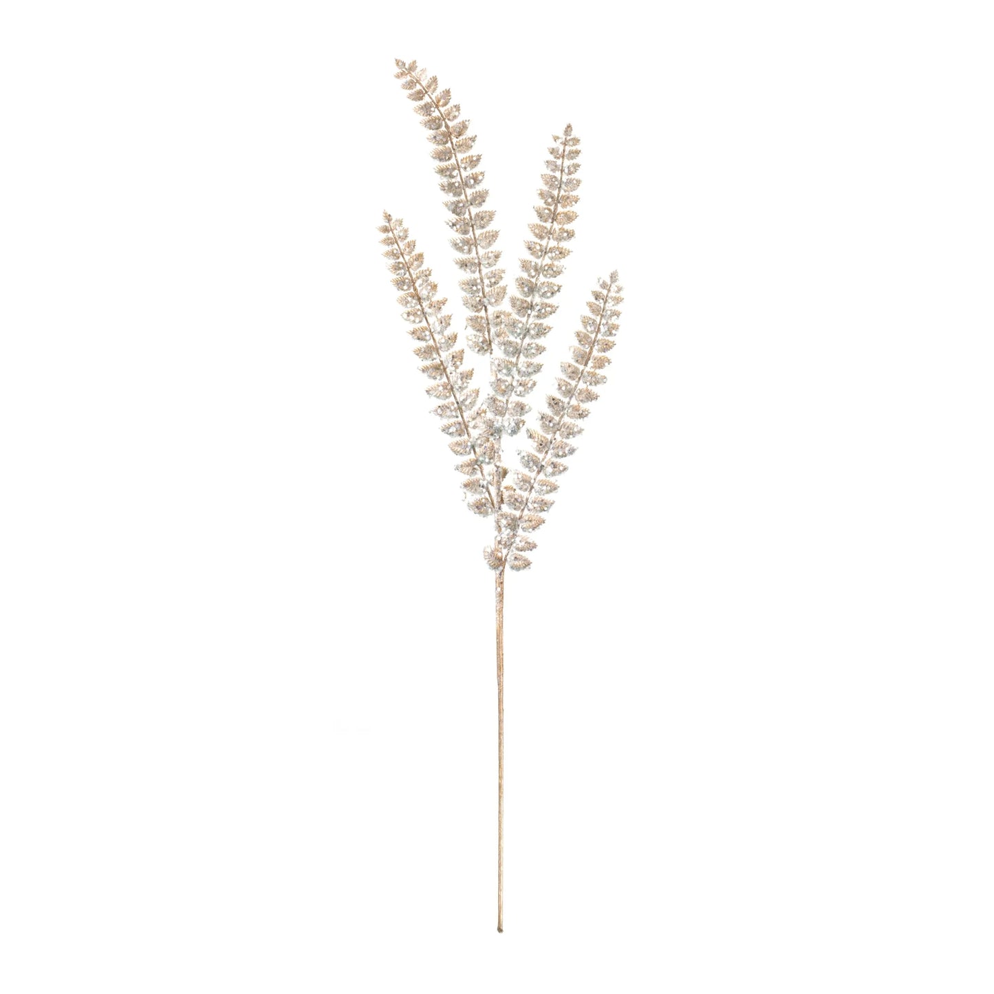 Glittered Fern Spray  - Pack Of: Set of 24 | Materials: Plastic | DÃƒÂ©cor  style: Glam
