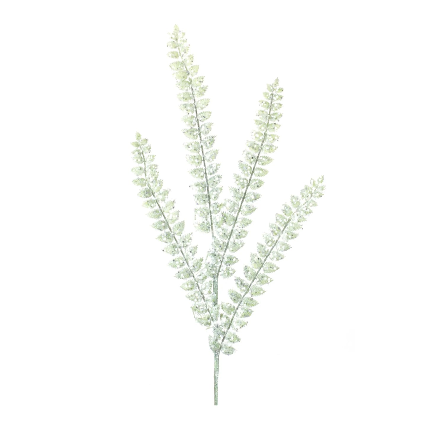 Glittered Fern Spray  - Pack Of: Set of 24 | Materials: Plastic | DÃƒÂ©cor  style: Glam