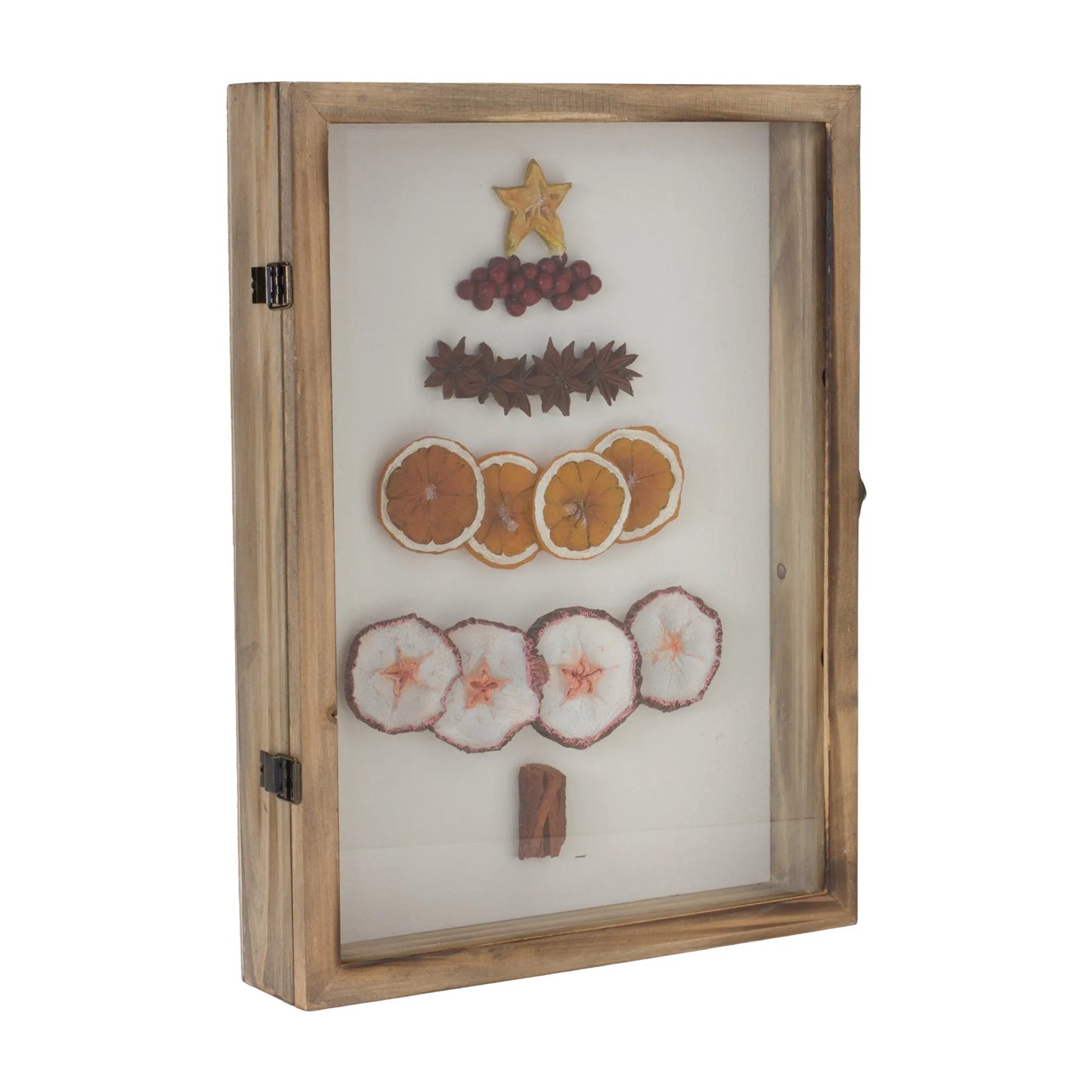 Dried Fruit Tree Shadow Box
