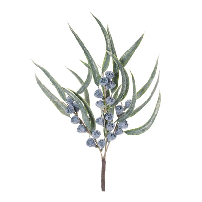Winter Berry Pod Pick