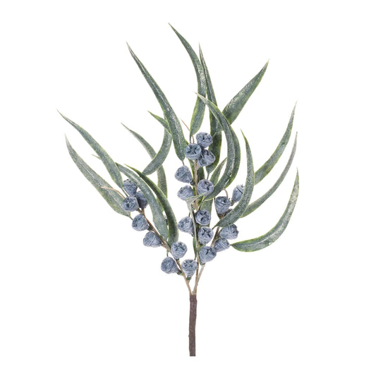 Winter Berry Pod Pick
