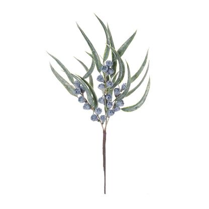 Winter Berry Pod Pick