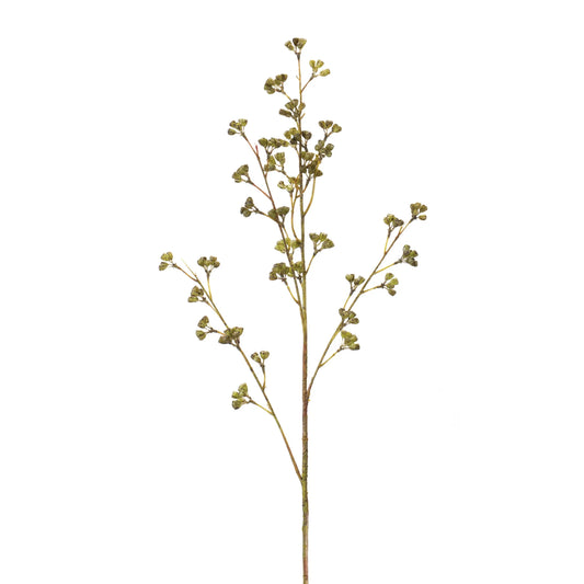 Winter Berry Pod Spray  - Pack Of: Set of 6 | Colors: Green; brown | DÃƒÂ©cor  style: Traditional
