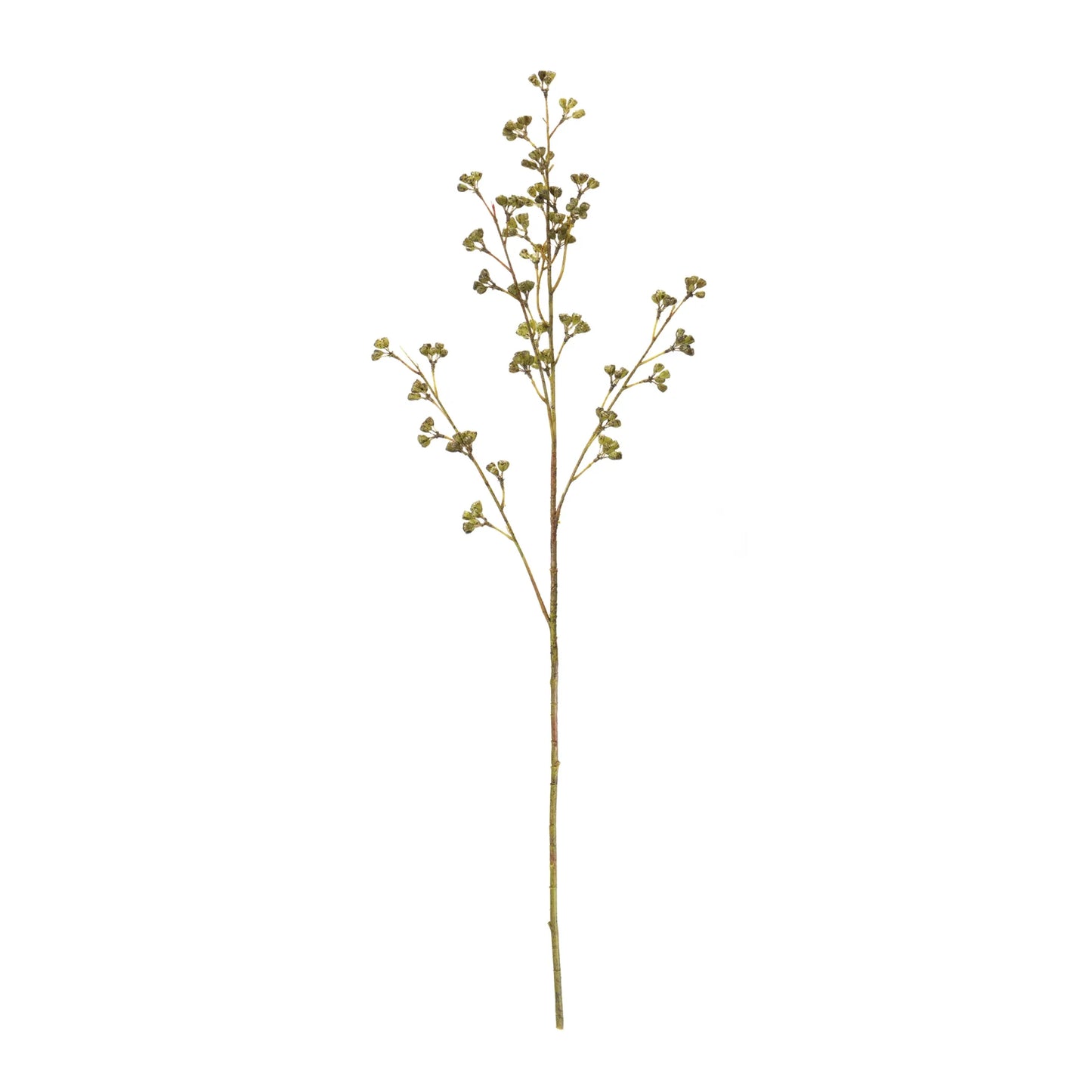 Winter Berry Pod Spray  - Pack Of: Set of 6 | Colors: Green; brown | DÃƒÂ©cor  style: Traditional
