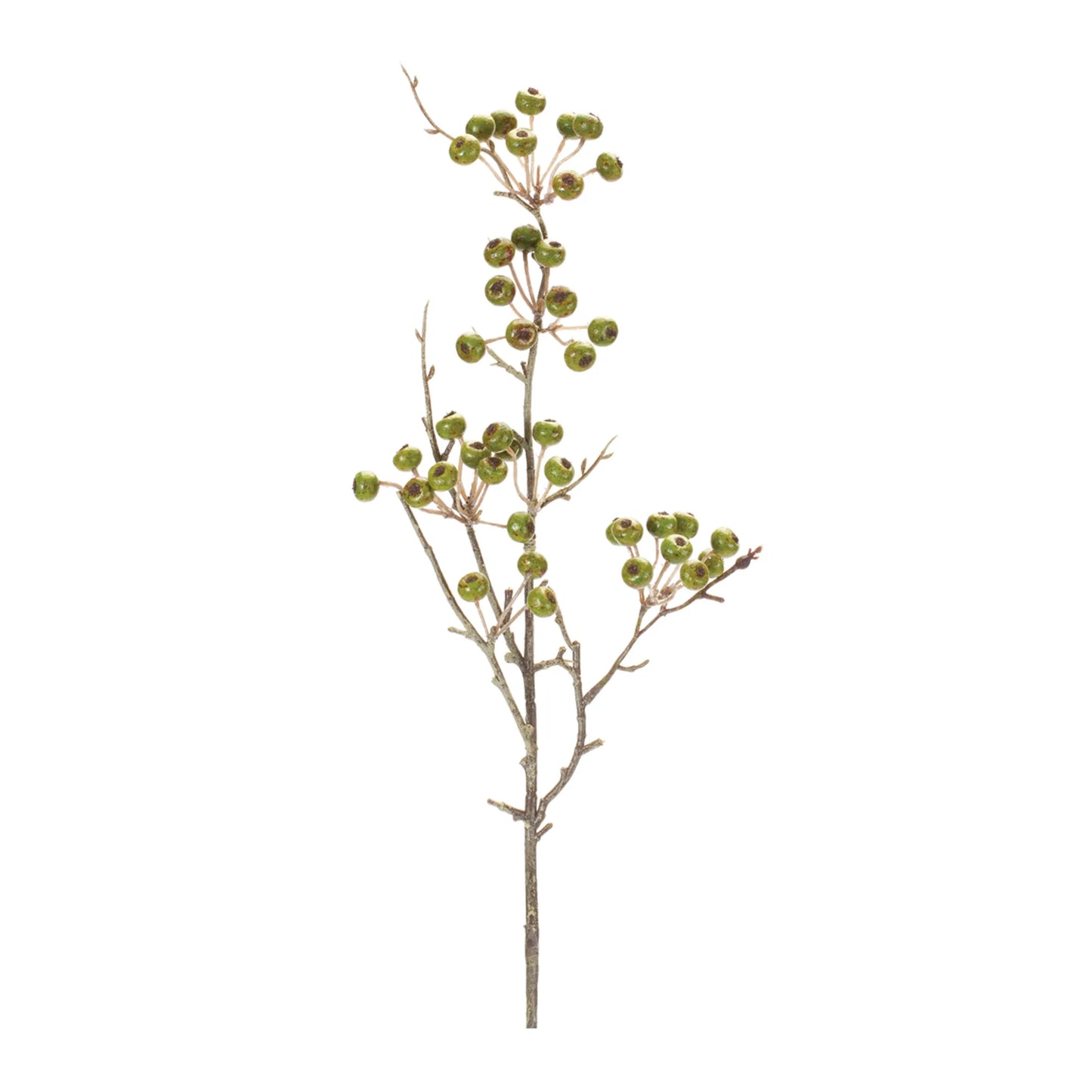 Winter Berry Pod Spray  - Pack Of: Set of 6 | Colors: Green; brown | DÃƒÂ©cor  style: Traditional