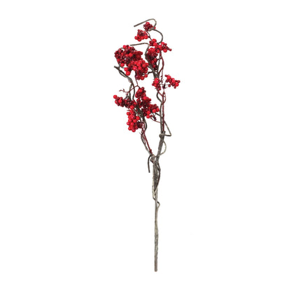 Berry Twig Branch