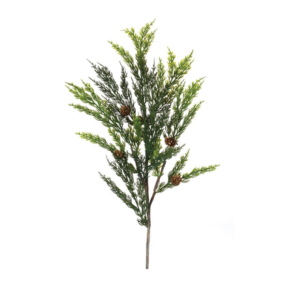 Pine Spray