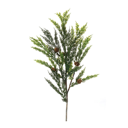 Pine Spray