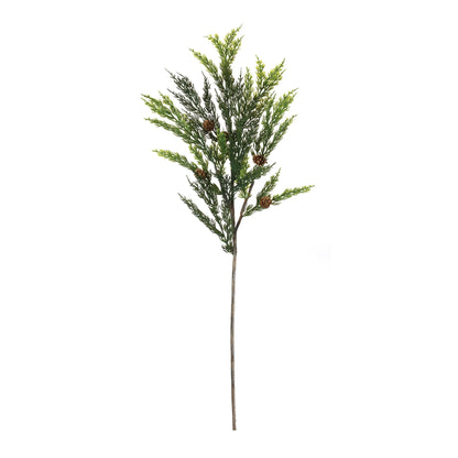 Pine Spray