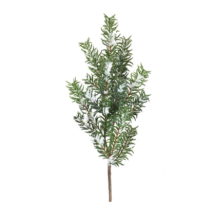 Snow Pine Spray
