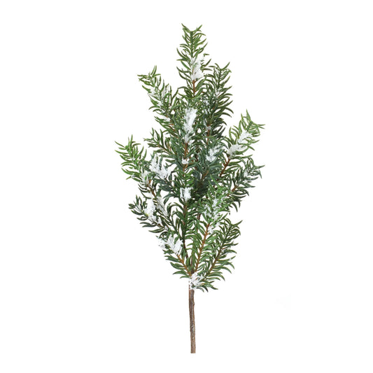 Snow Pine Spray