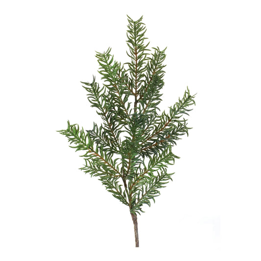 Pine Spray