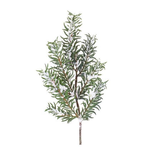 Snow Pine Spray