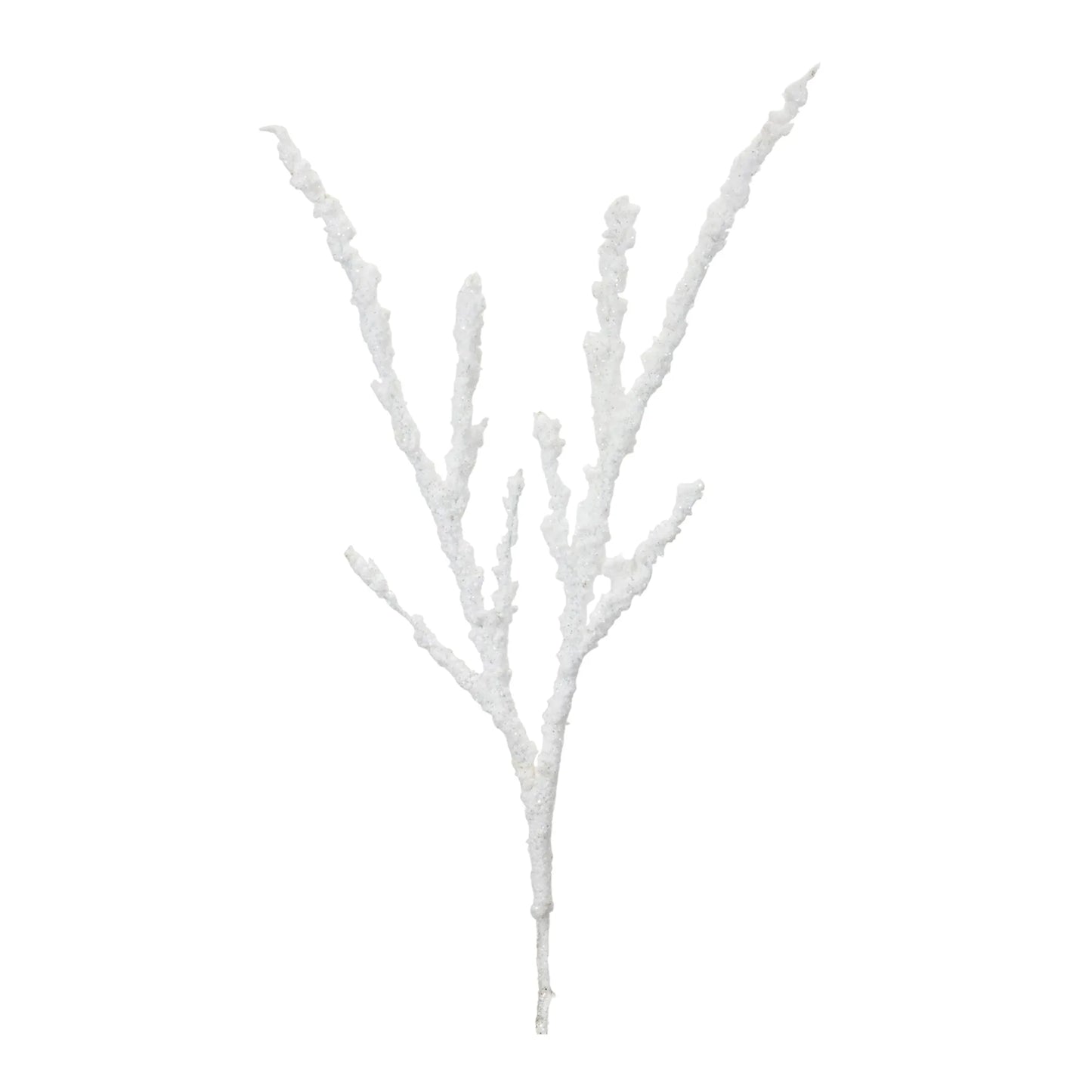 Frosted Snow Branch