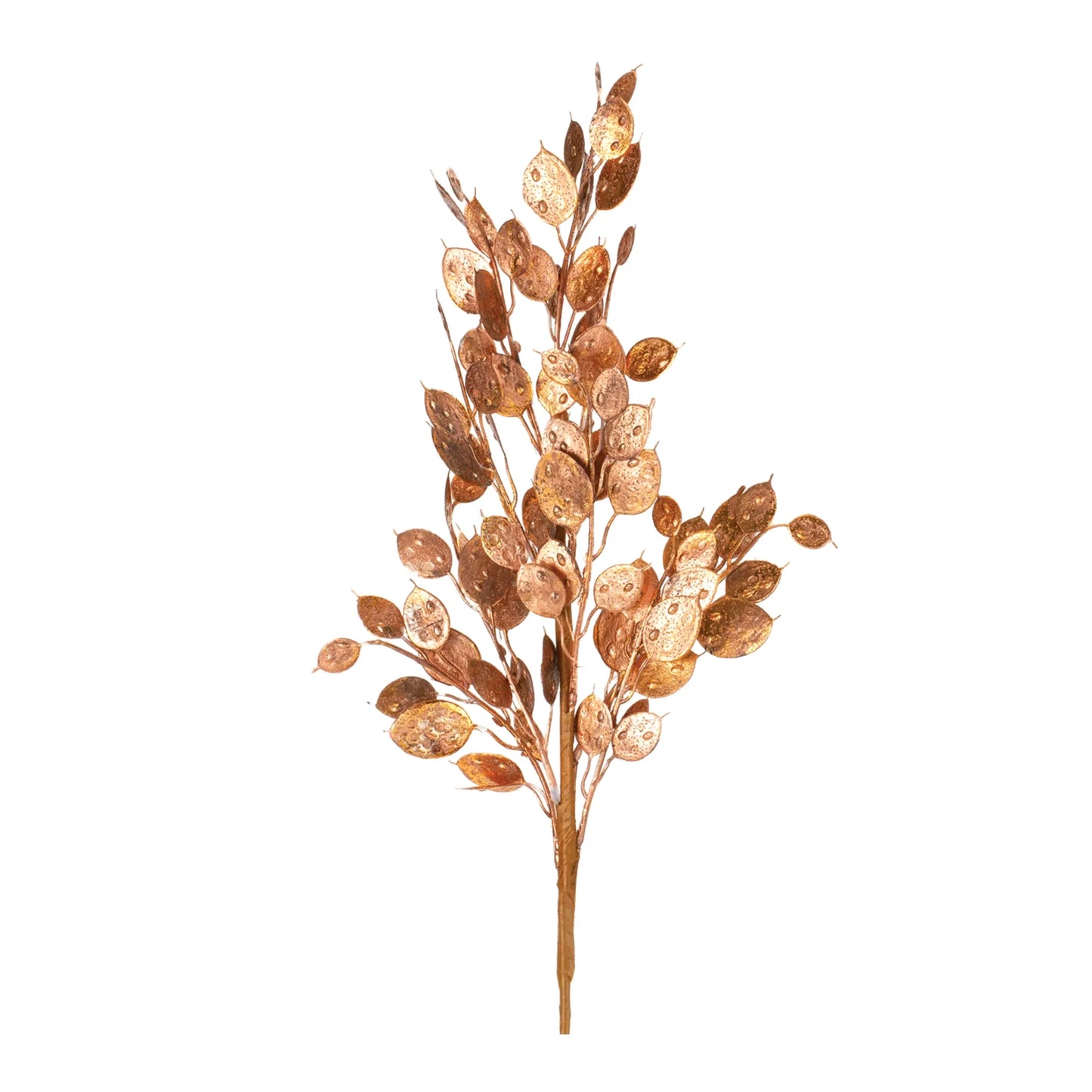 Metallic Silver Dollar Bush