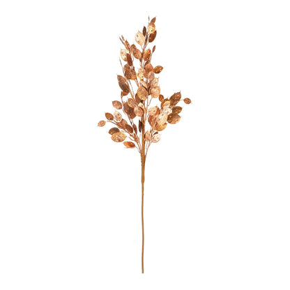 Metallic Silver Dollar Bush