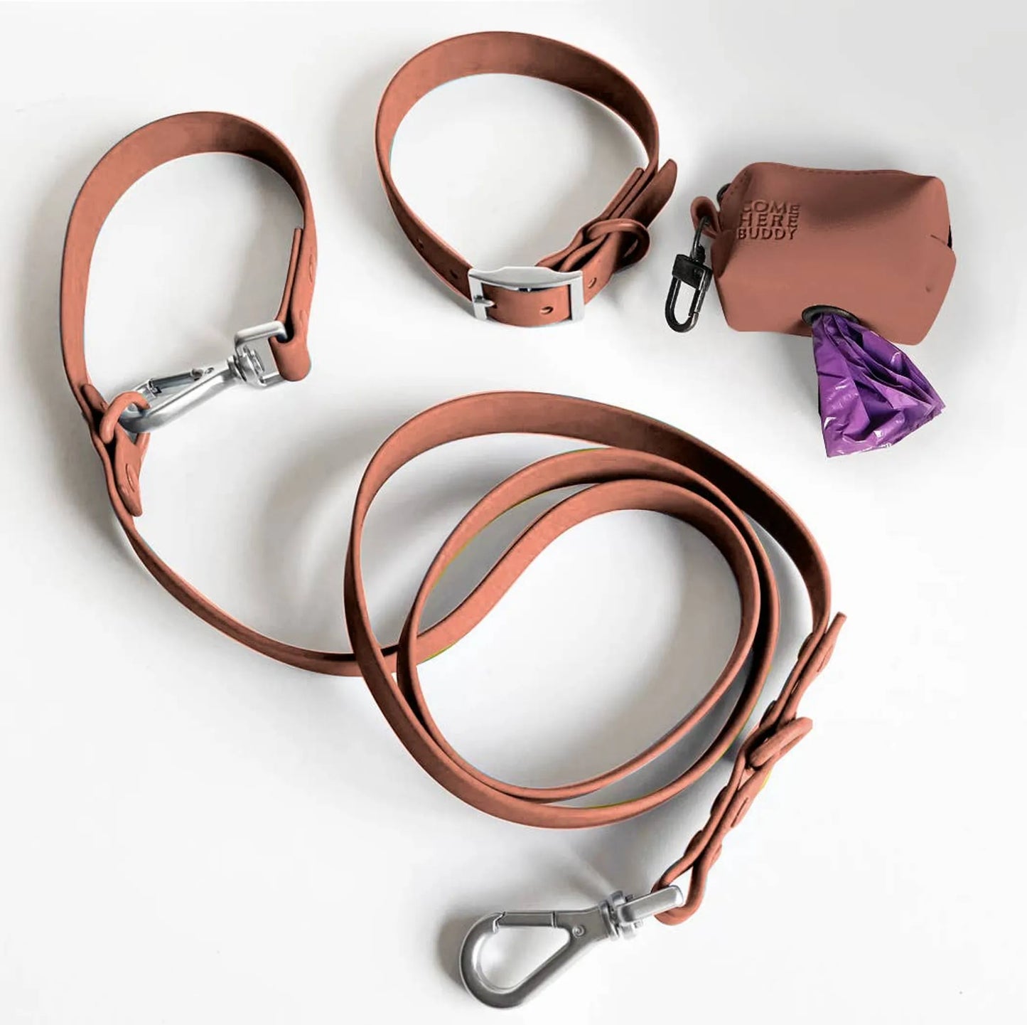 Brown Dog Leash