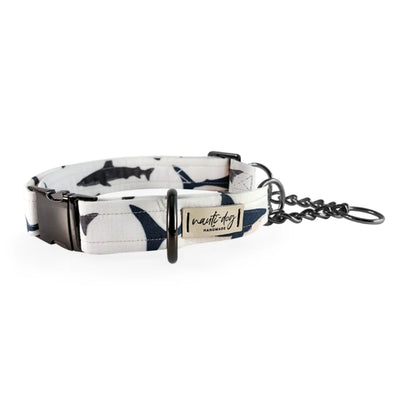 Shark! Buckle & Martingale Dog Collar - Pack Of: 1