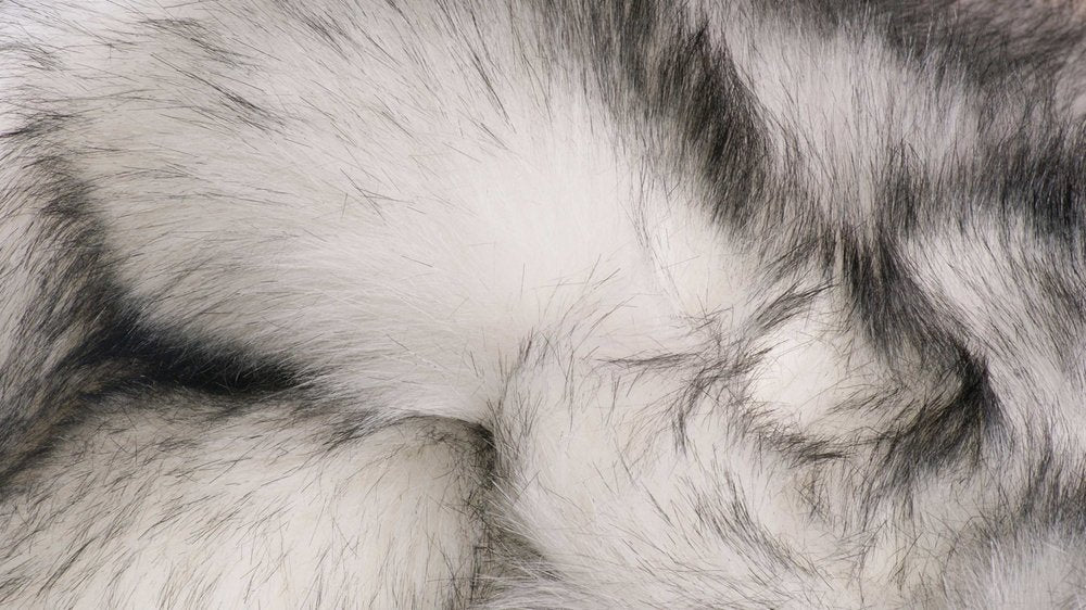 2' X 3' Gray Faux Sheepskin Washable Area Rug