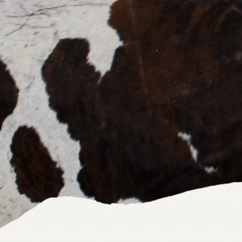 6' X 7' Brown Cowhide Cowhide Print Area Rug