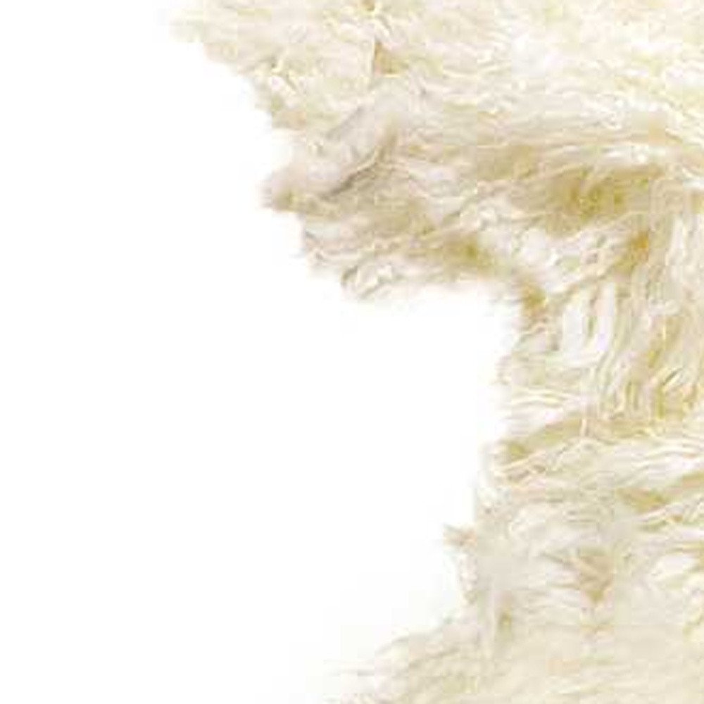 2' X 3' Natural New Zealand Sheepskin Wool Area Rug