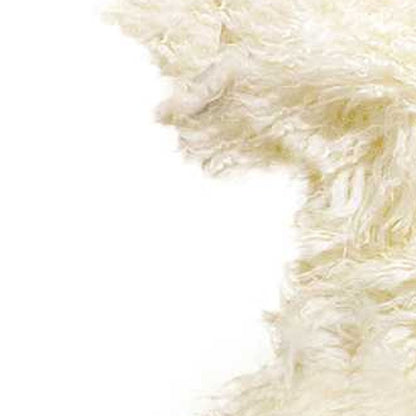 2' X 3' Natural New Zealand Sheepskin Wool Area Rug