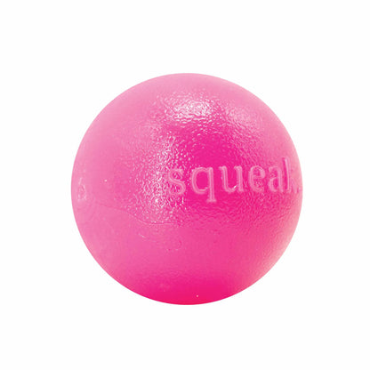Planet Dog Orbee-Tuff Squeak Ball Dog Toy