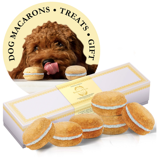 Dog Macarons - Box of 6 (Available in 12 Flavors)