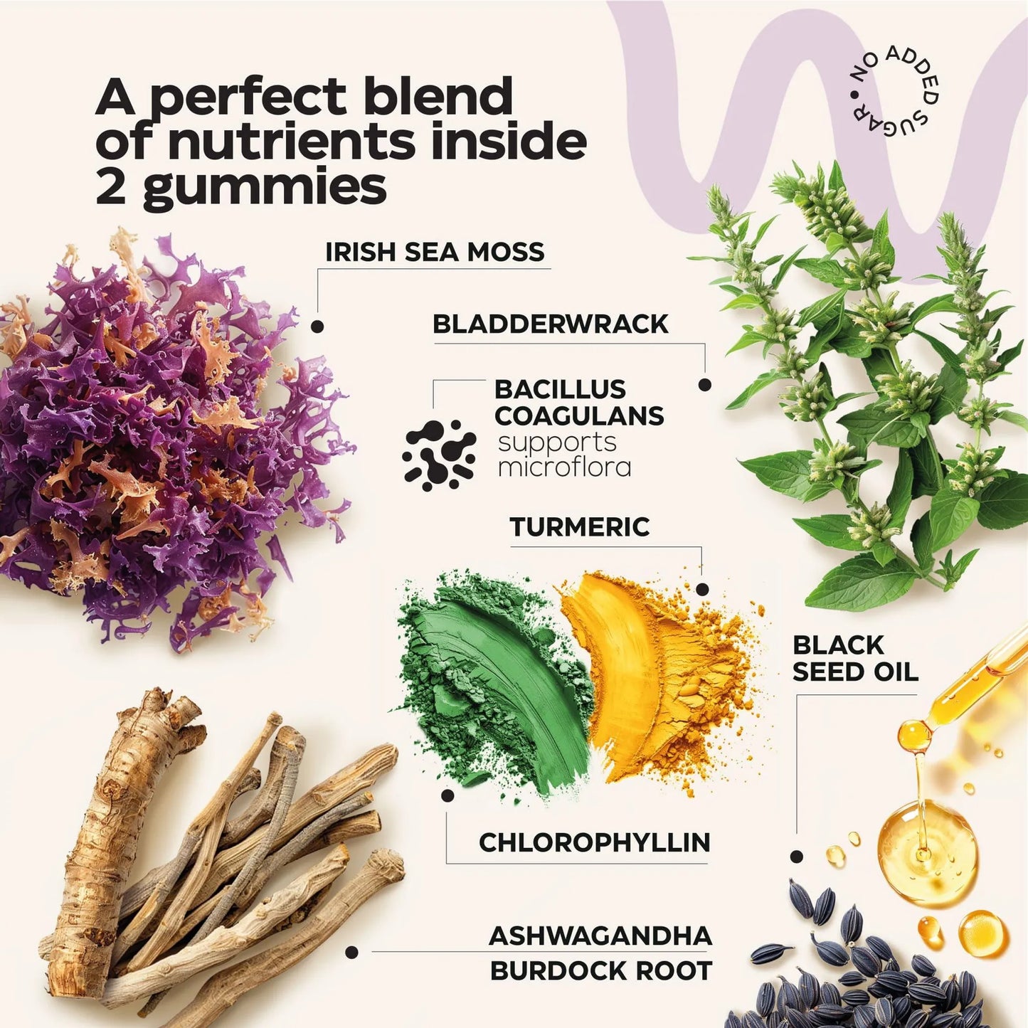 Multimineral Sea Moss Glow Gummies 3000 Mg Irish Seamoss for Immunity Thyroid Health Skin Detox Cleanse Gummies with Black Seed Oil Bladderwrack Ashwa