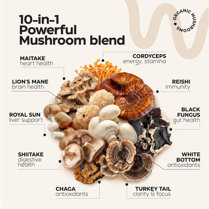 Mushroom Gummies