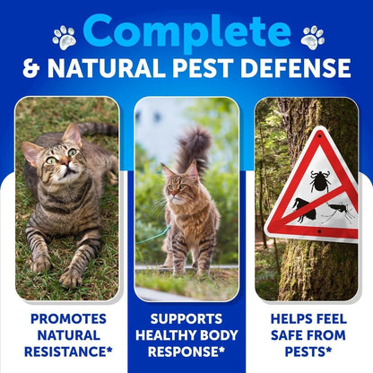 Flea Treatment for Cats Natural Flea and Tick