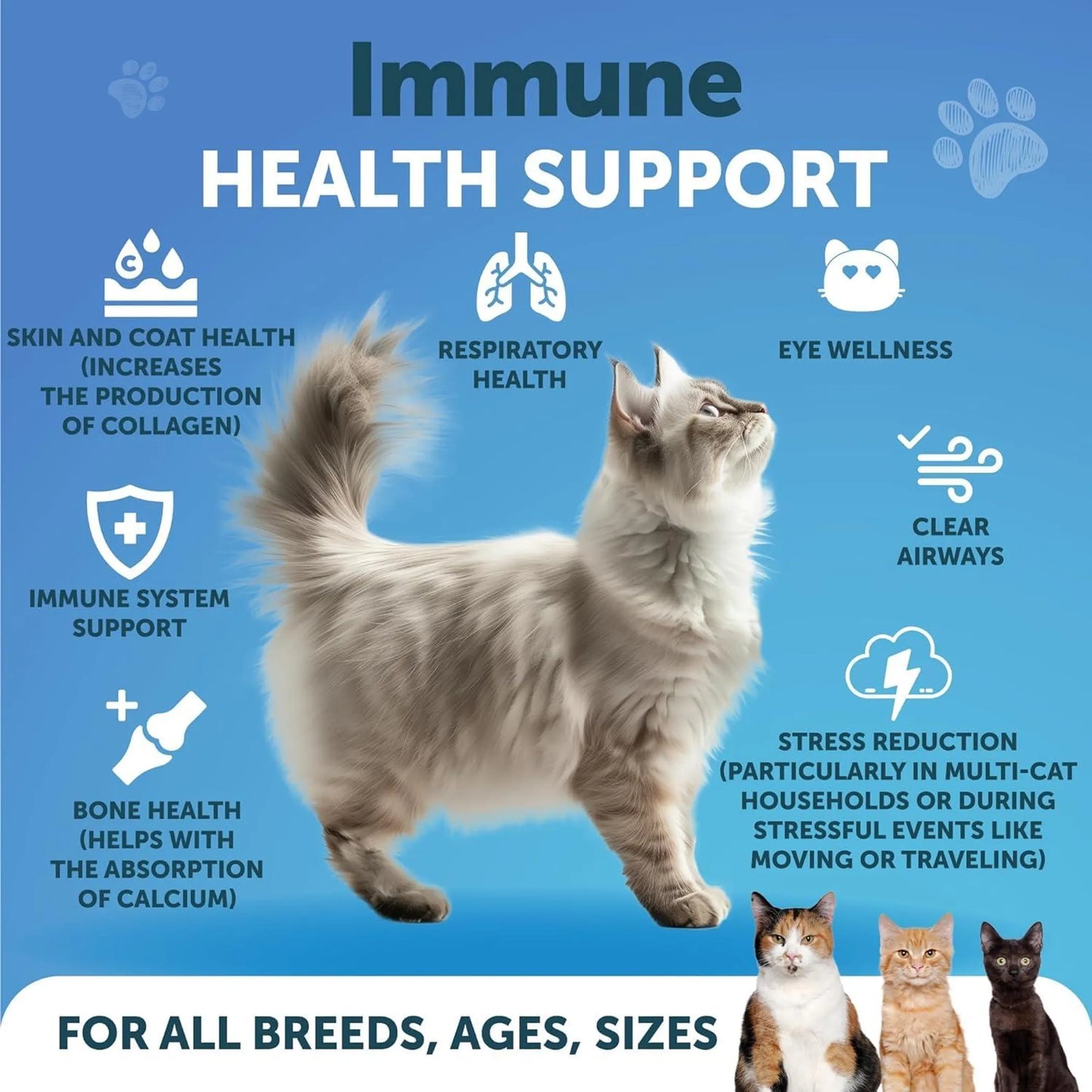 L Lysine for Cats Lysine Powder Supplement
