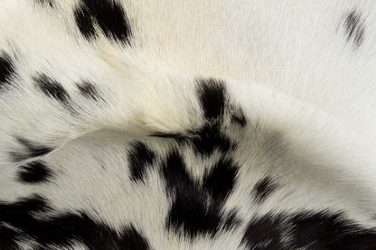 2' X 3' Black And White Cowhide Cowhide Print Hand Woven Area Rug