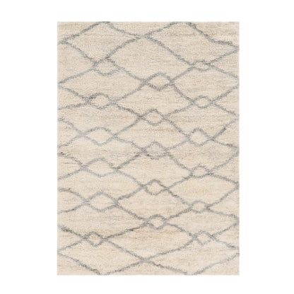 4' X 6' Ivory And Gray Chain Distressed Area Rug