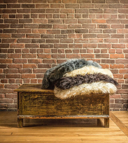 2' X 3' Beige Shag Area Rug