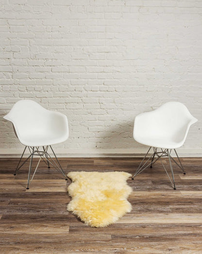 2' X 3' Beige Shag Area Rug