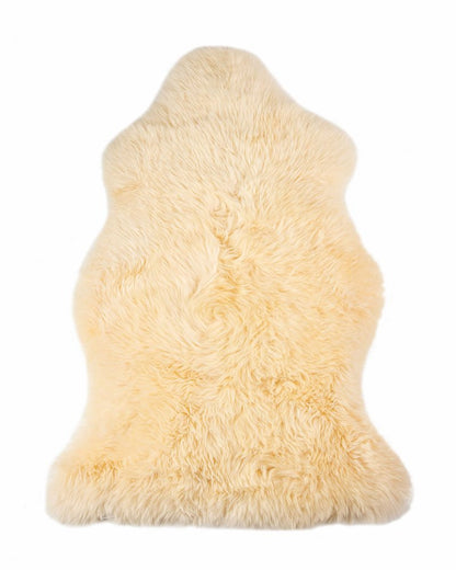 2' X 3' Beige Shag Area Rug