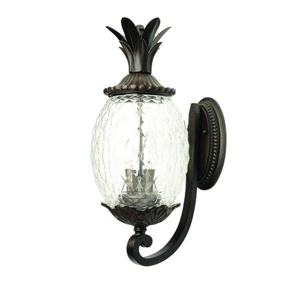 22" Black And Clear Metal and Glass Vanity Flush Mounted Sconce