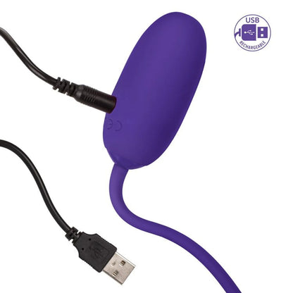 RECHARGEABLE KEGEL BALL STARTER PURPLE