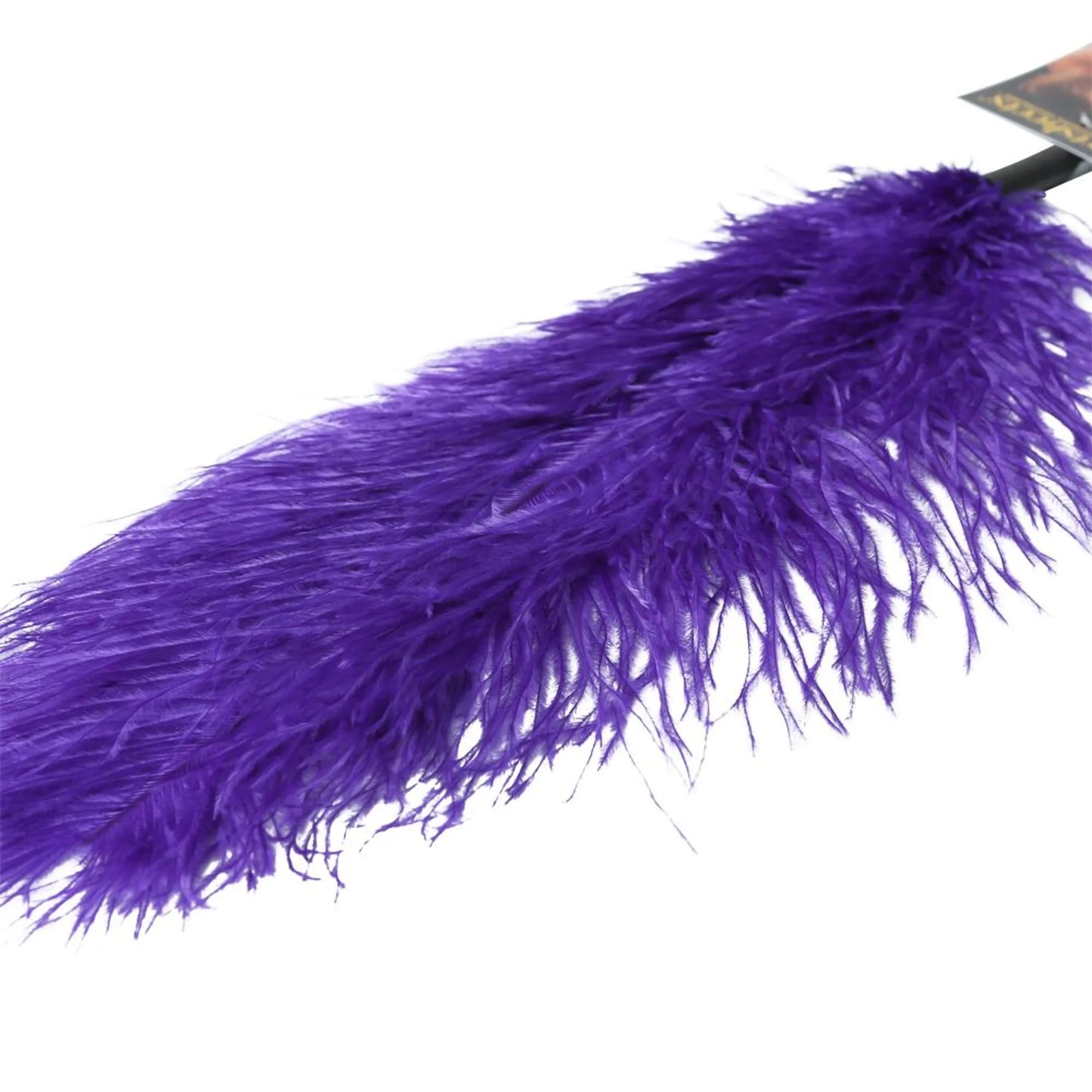 OSTRICH FEATHER PURPLE