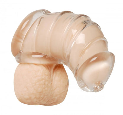 MASTER SERIES DETAINED CHASTITY CAGE