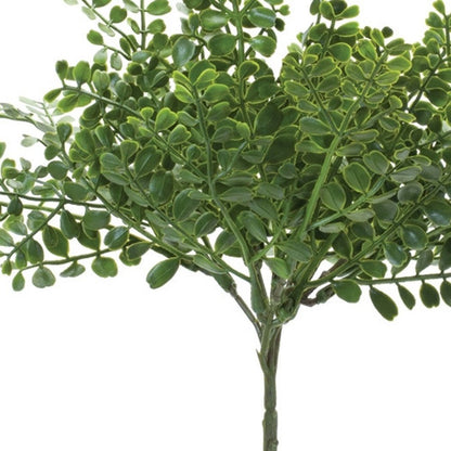 12 9" Green Fern Artificial Plant in a No