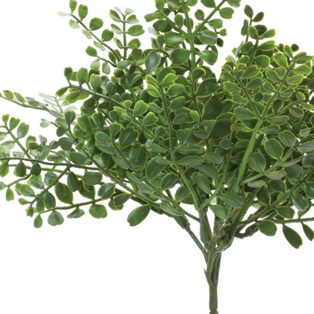 12 9" Green Fern Artificial Plant in a No