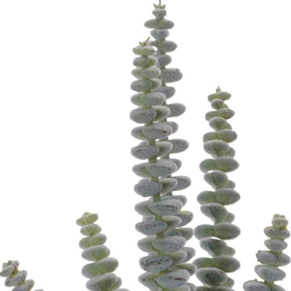 Set of Six 11" Green And Brown Artificial Succulent