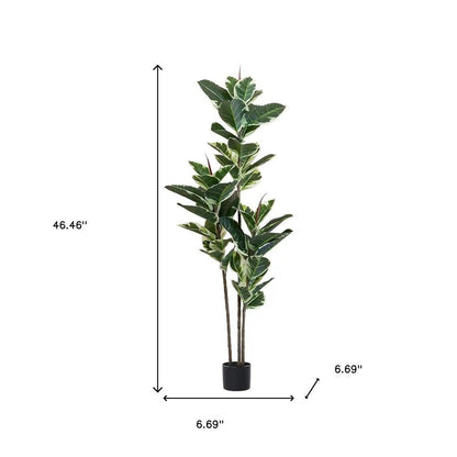 63" Green Artificial Rubber Tree In Cylindrical Black Cement Pot