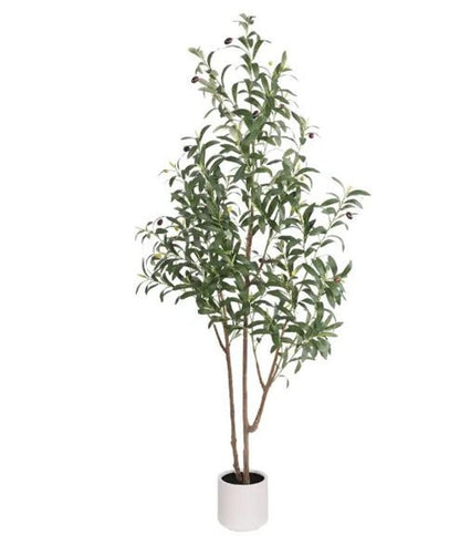 63" Green Artificial Olive Tree In Cylindrical White Cement Pot